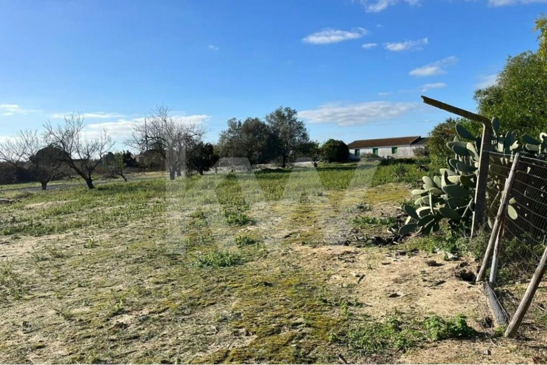 Terreno para Venda em Samora Correia Foto 11