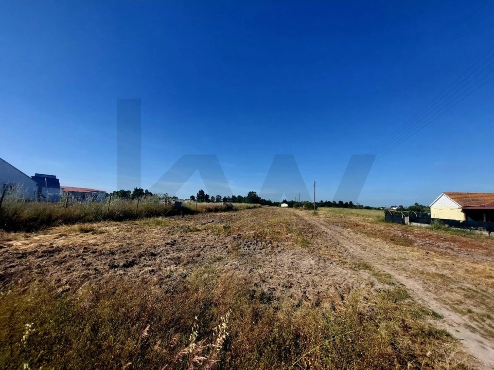 Terreno para Venda em Glória do Ribatejo e Granho Foto 3