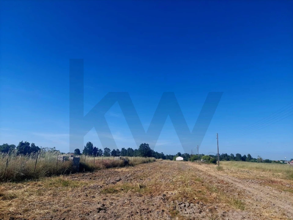 Terreno para Venda em Glória do Ribatejo e Granho Foto 1