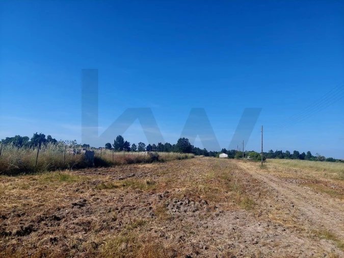 Terreno para Venda em Glória do Ribatejo e Granho Foto 4