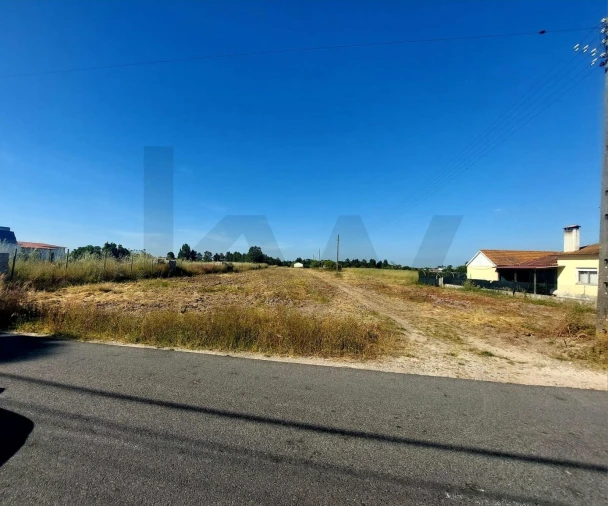 Terreno para Venda em Glória do Ribatejo e Granho Foto 2