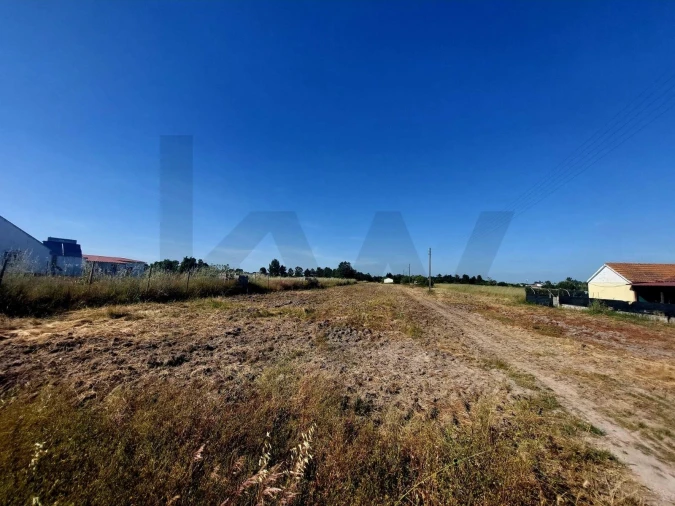 Terreno para Venda em Glória do Ribatejo e Granho Foto 3