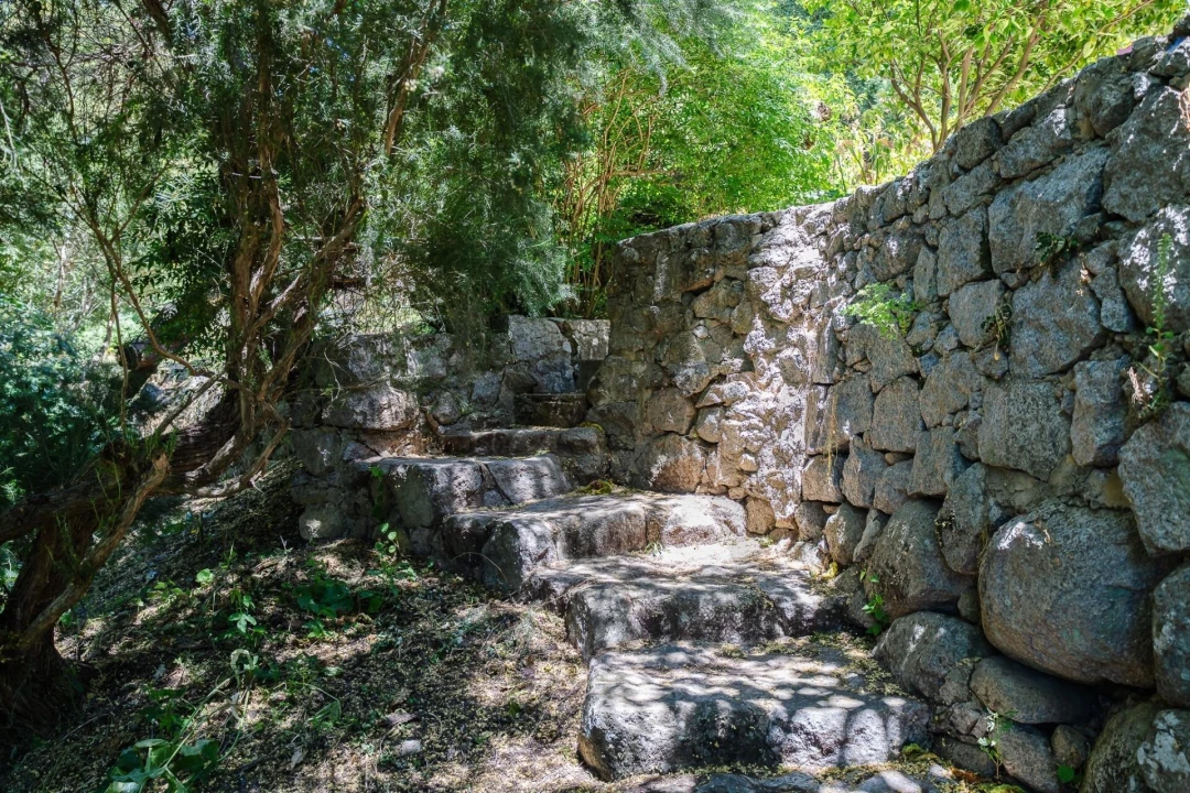 Quinta T3 para Venda em Monchique Foto 19