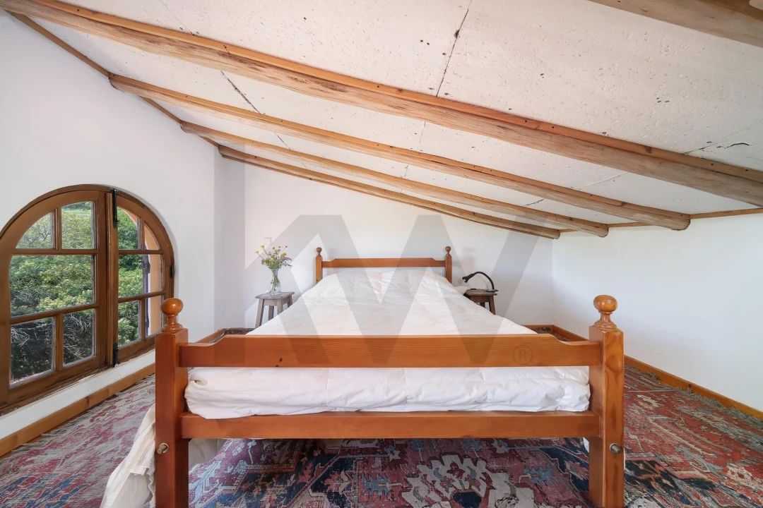 Quinta T3 para Venda em Monchique Foto 46