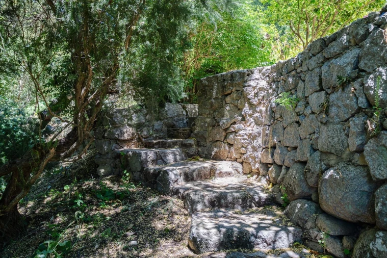 Quinta T3 para Venda em Monchique Foto 19