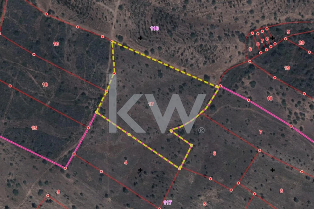 Terreno para Venda em Martim Longo Foto 1