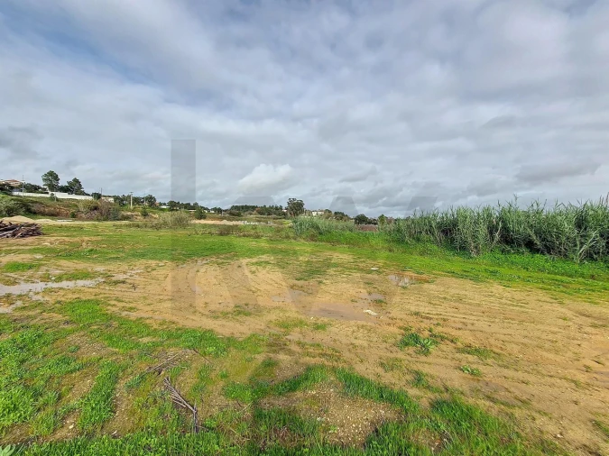 Terreno para Venda em Romeira e Várzea Foto 12