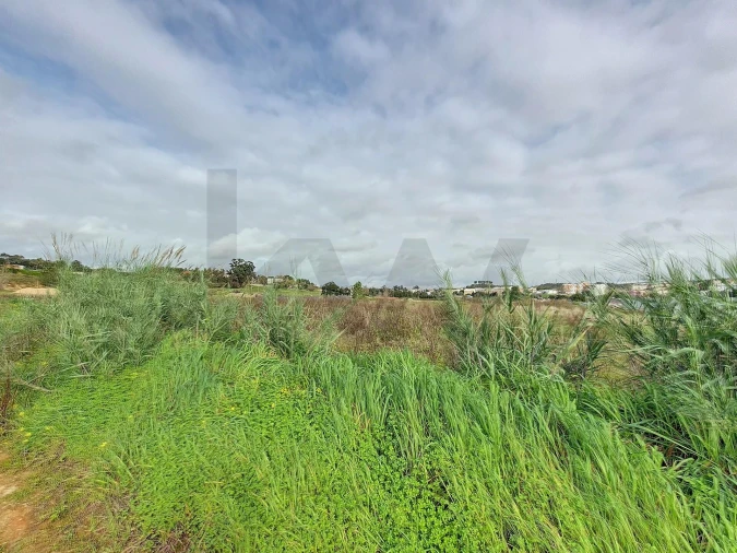 Terreno para Venda em Romeira e Várzea Foto 9