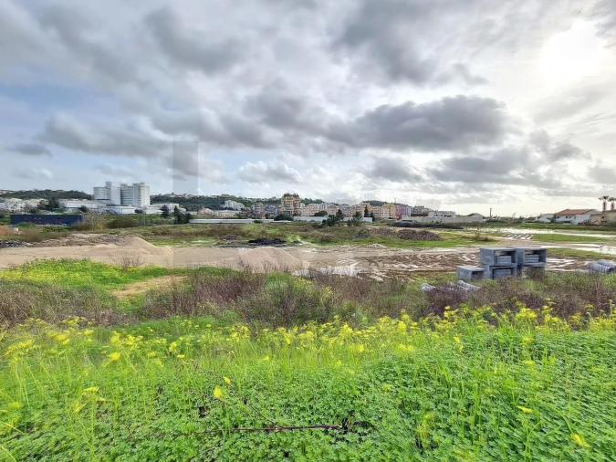 Terreno para Venda em Romeira e Várzea Foto 8