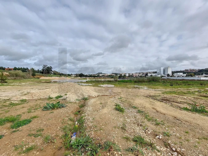 Terreno para Venda em Romeira e Várzea Foto 4