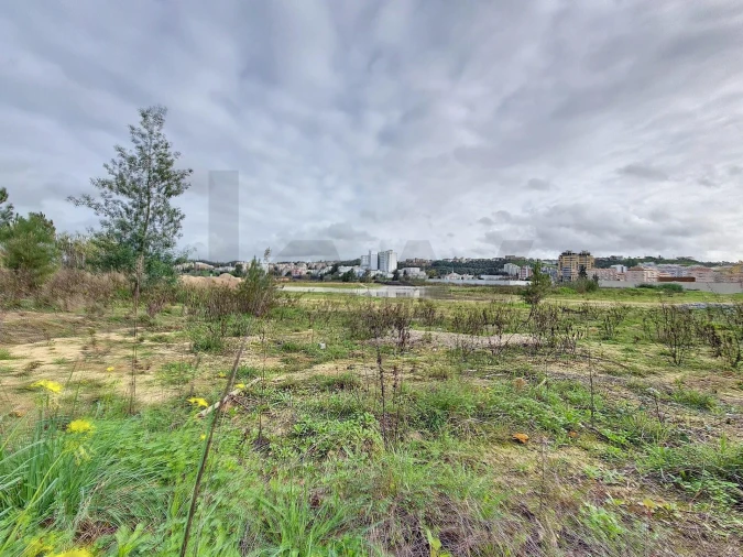 Terreno para Venda em Romeira e Várzea Foto 2