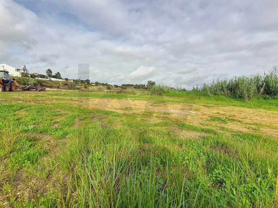 Terreno para Venda em Romeira e Várzea Foto 3
