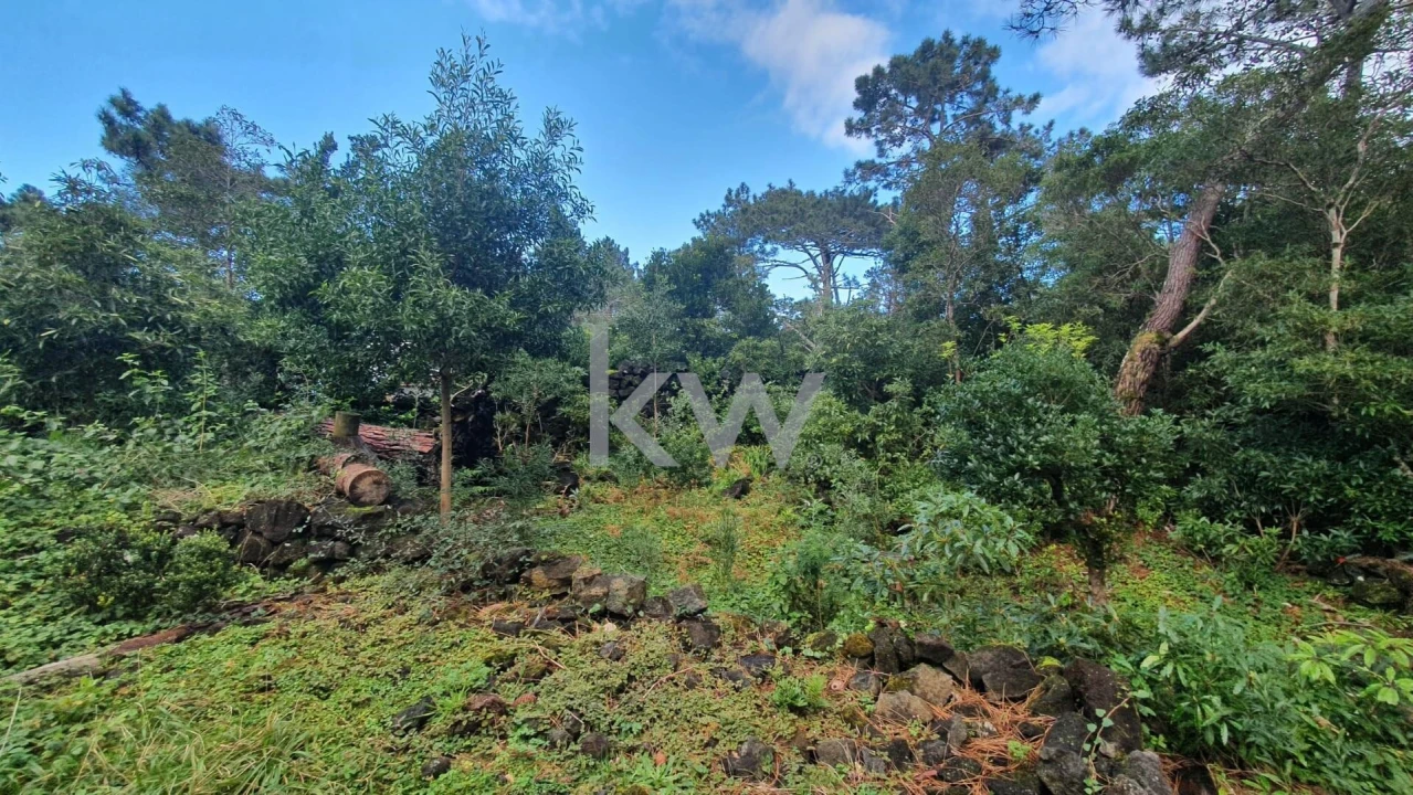 Terreno para Venda em Santa Luzia Foto 13