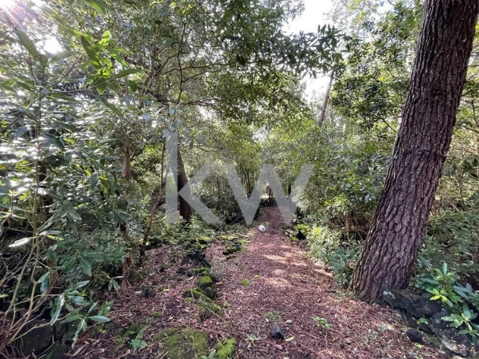 Terreno para Venda em Santa Luzia Foto 45