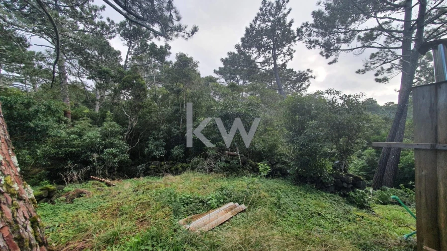 Terreno para Venda em Santa Luzia Foto 14