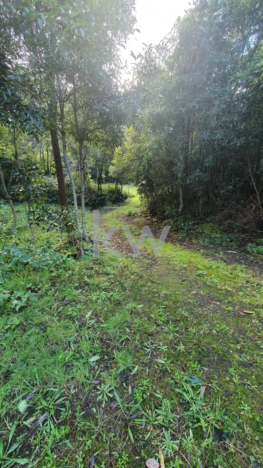 Terreno para Venda em Santa Luzia Foto 20