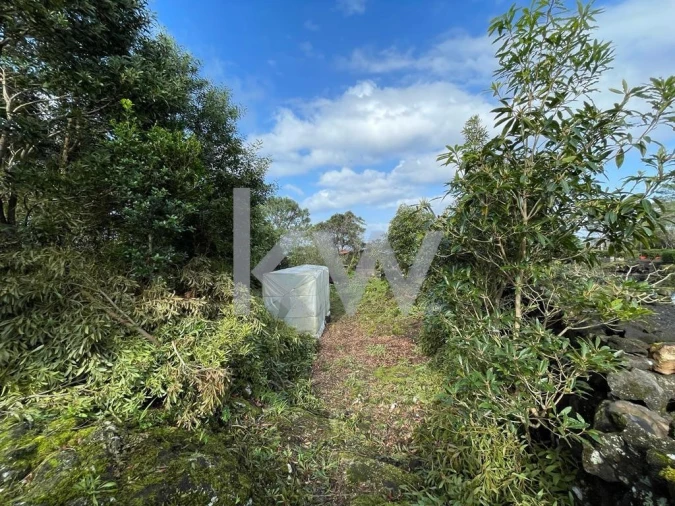Terreno para Venda em Santa Luzia Foto 42