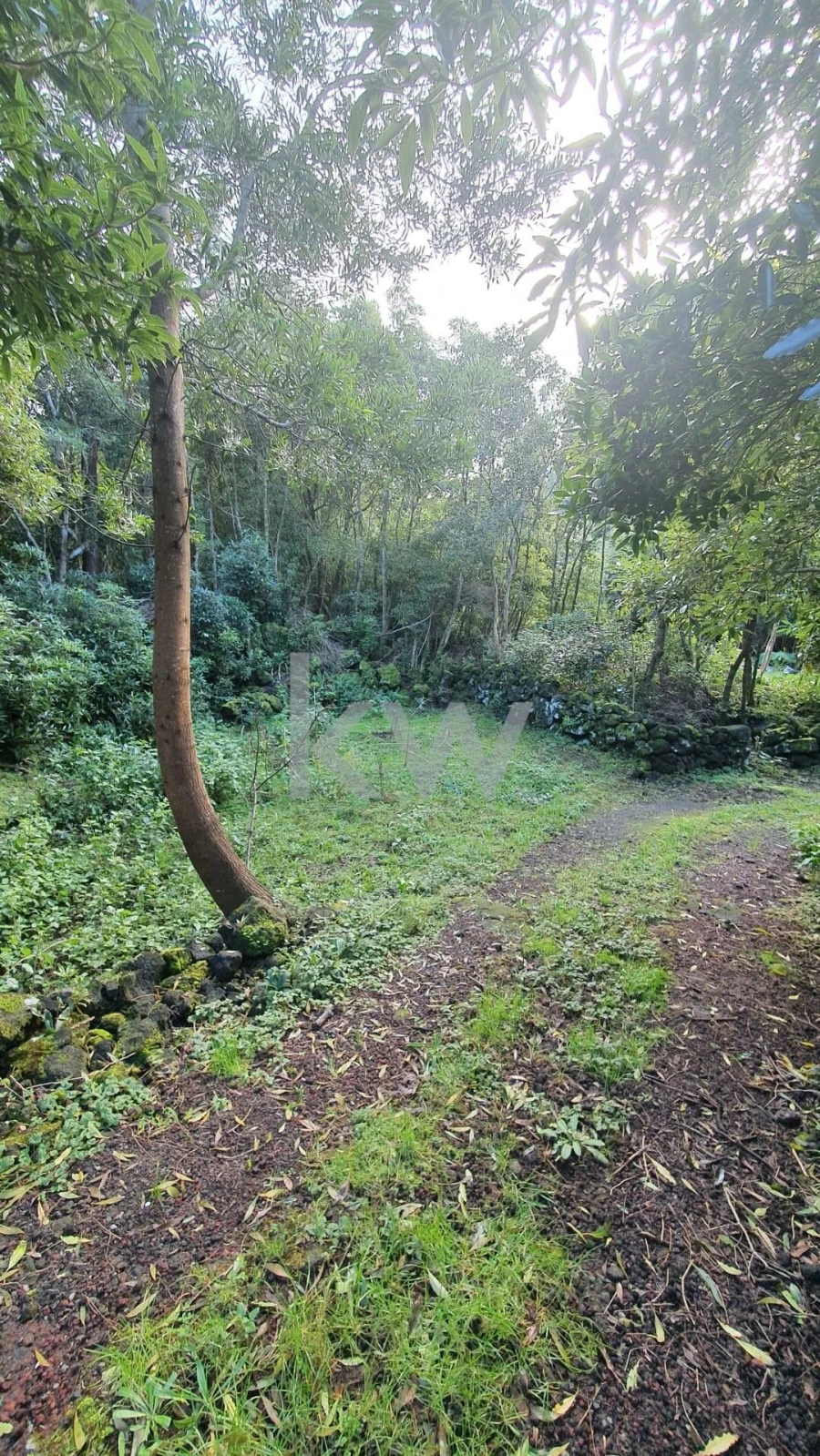 Terreno para Venda em Santa Luzia Foto 21