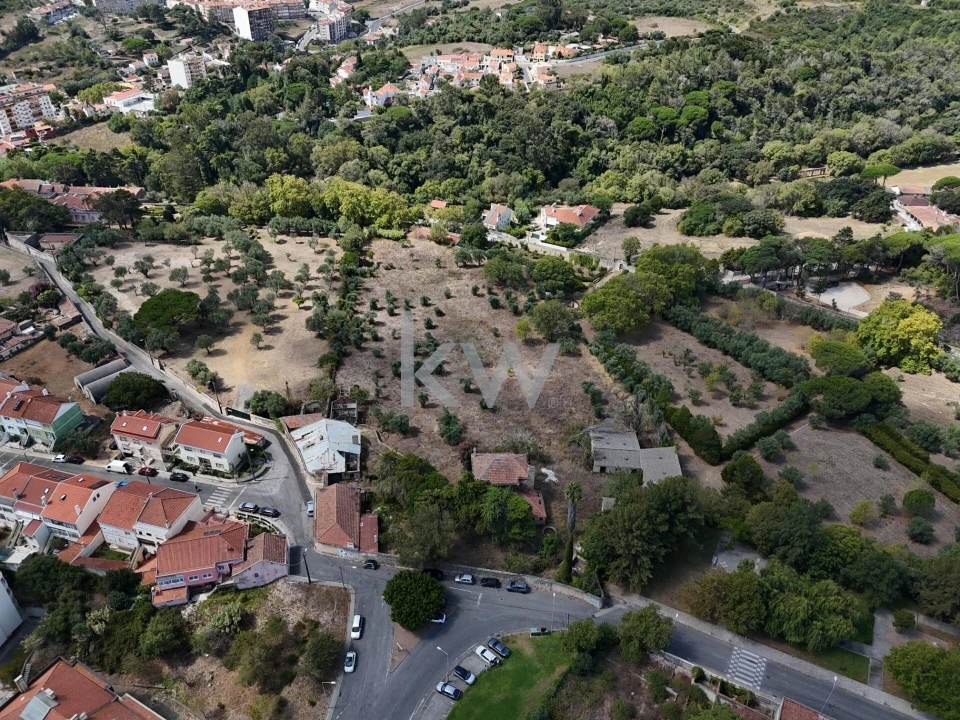 Terreno para Venda em Queluz e Belas Foto 12