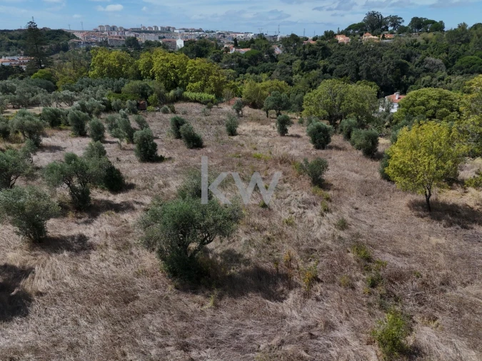 Terreno para Venda em Queluz e Belas Foto 15