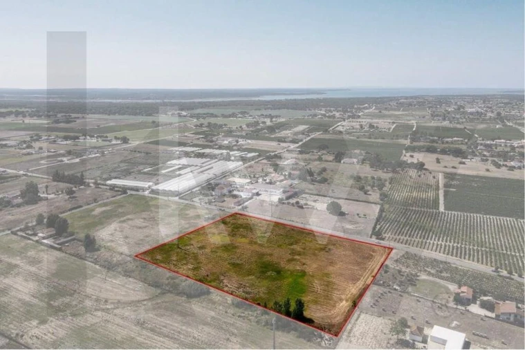 Terreno para Venda em Poceirão e Marateca Foto 8