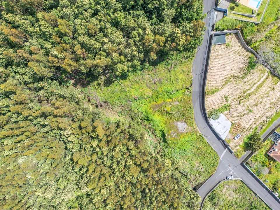 Terreno para Venda em Funchal (Santa Maria Maior) Foto 2