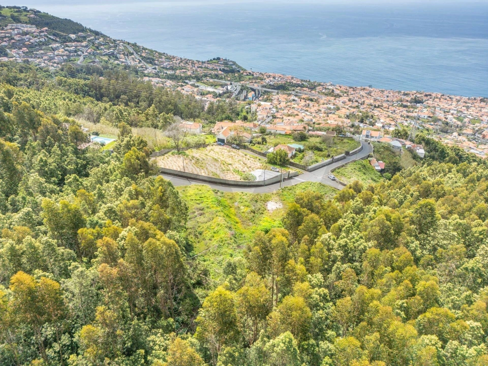 Terreno para Venda em Funchal (Santa Maria Maior) Foto 16