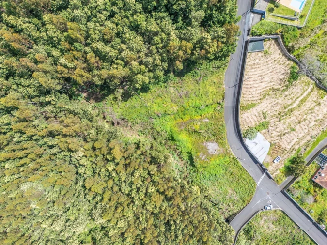 Terreno para Venda em Funchal (Santa Maria Maior) Foto 2