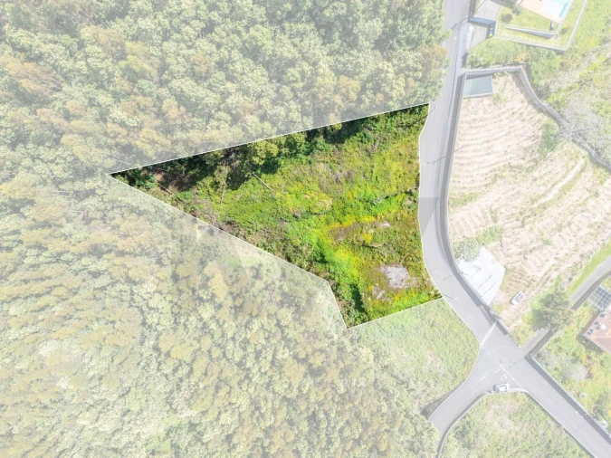 Terreno para Venda em Funchal (Santa Maria Maior) Foto 3