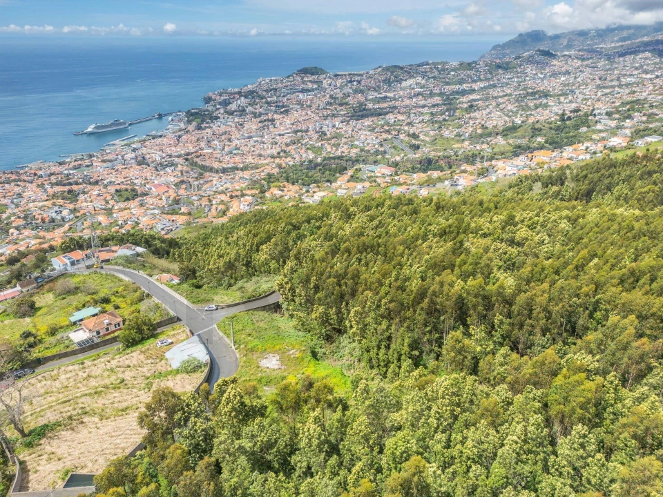 Terreno para Venda em Funchal (Santa Maria Maior) Foto 17