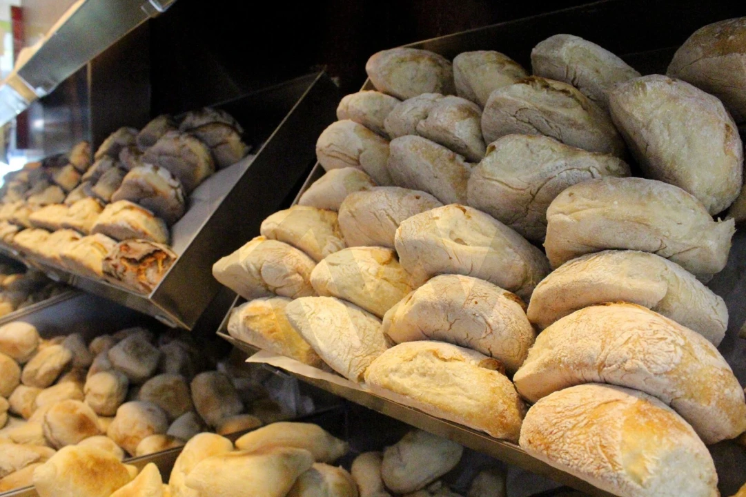 Negócio para Venda em Cernache Foto 9