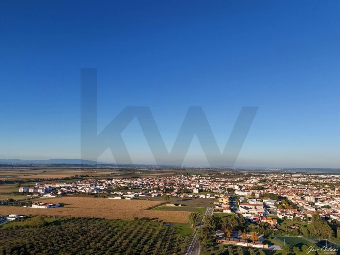 Terreno para Venda em Alpiarça Foto 17