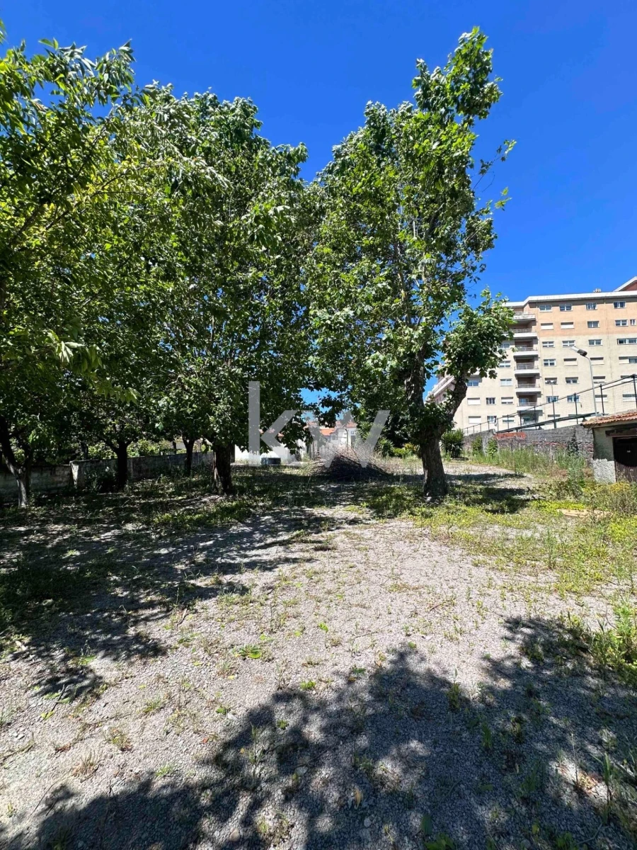 Terreno para Venda em Santa Marinha e São Pedro da Afurada Foto 2