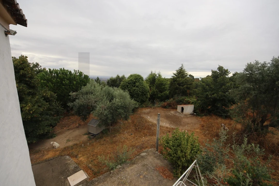 Quinta T6 para Venda em Ribeira de Nisa e Carreiras Foto 18