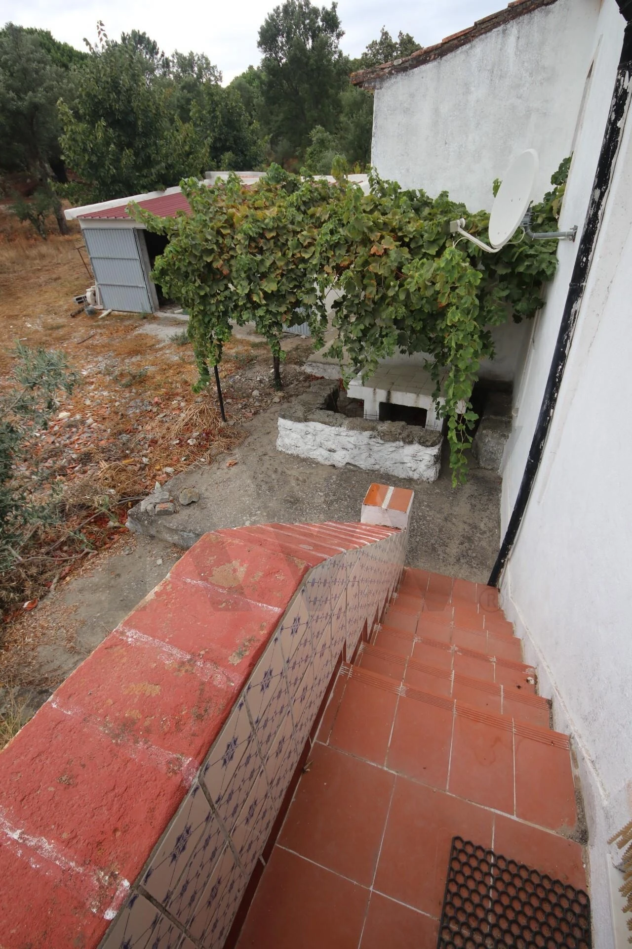 Quinta T6 para Venda em Ribeira de Nisa e Carreiras Foto 27