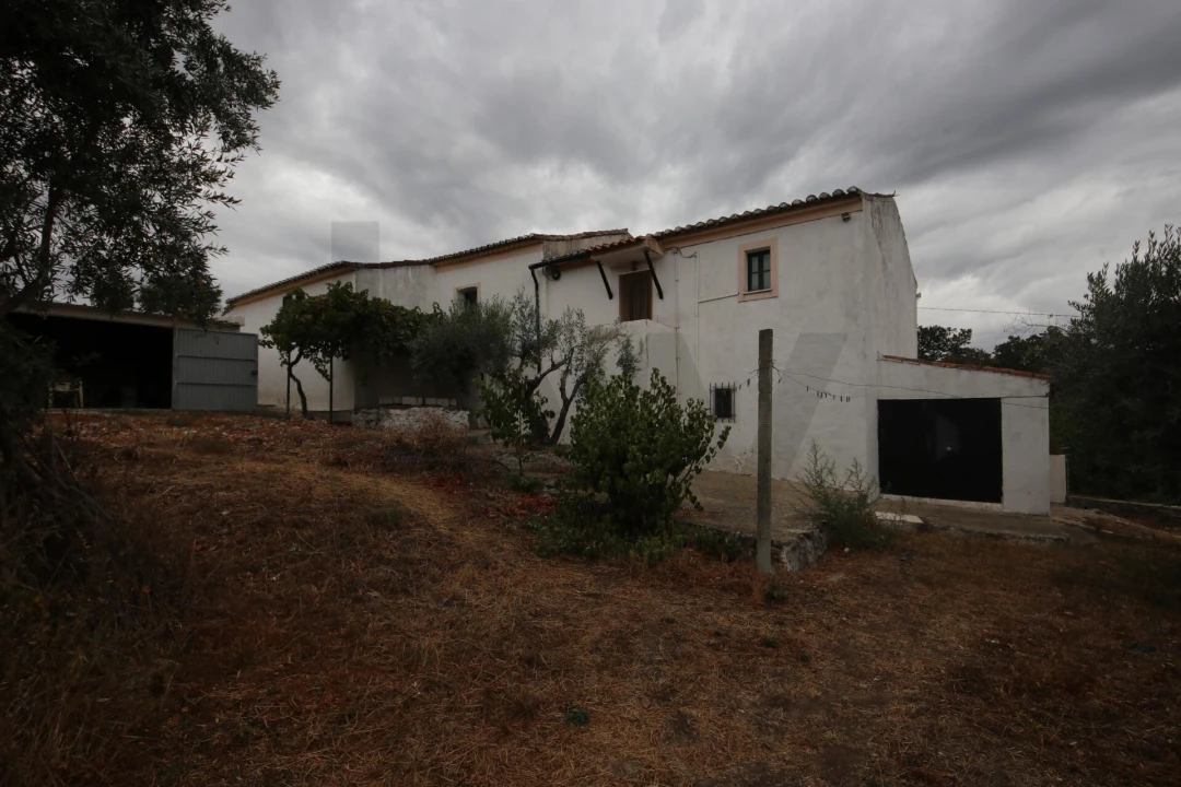 Quinta T6 para Venda em Ribeira de Nisa e Carreiras Foto 24