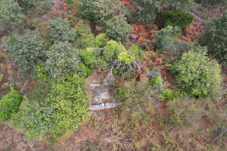 Quinta T6 para Venda em Ribeira de Nisa e Carreiras Foto 7