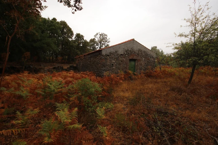 Quinta T6 para Venda em Ribeira de Nisa e Carreiras Foto 22