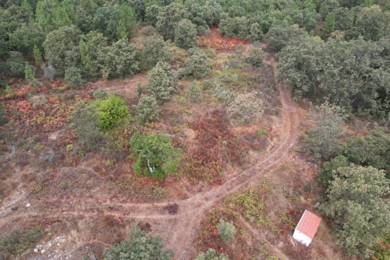 Quinta T6 para Venda em Ribeira de Nisa e Carreiras Foto 6