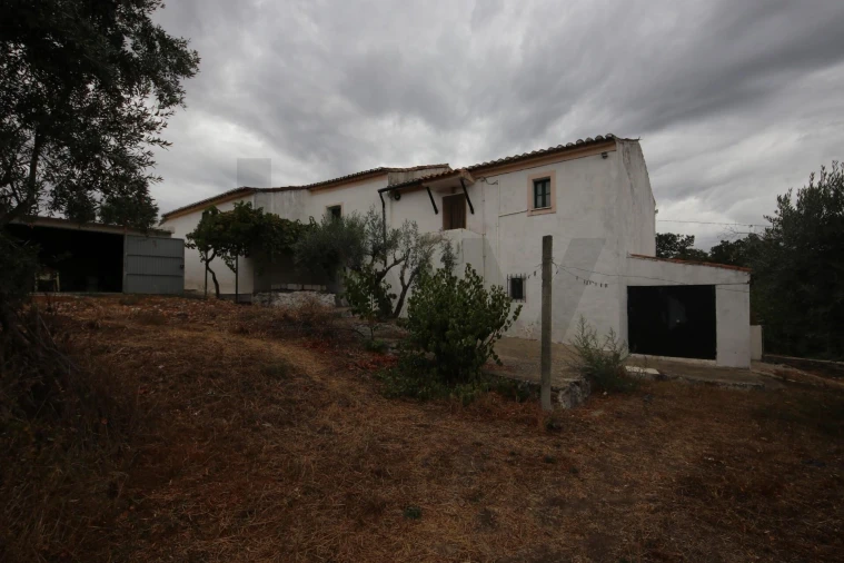 Quinta T6 para Venda em Ribeira de Nisa e Carreiras Foto 24