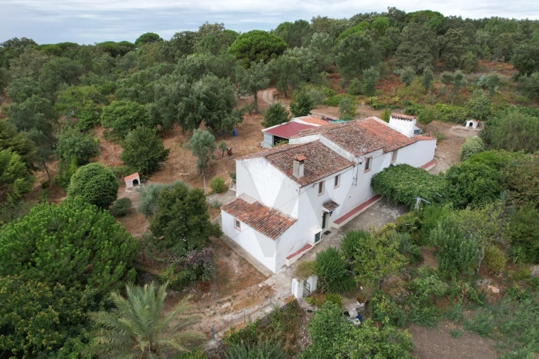 Quinta T6 para Venda em Ribeira de Nisa e Carreiras Foto 1