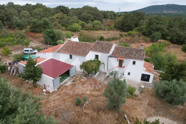 Quinta T6 para Venda em Ribeira de Nisa e Carreiras Foto 3