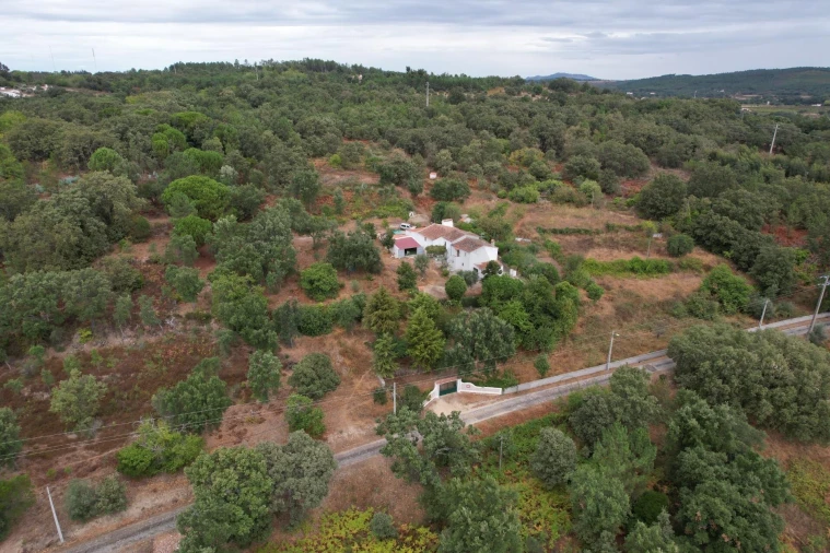 Quinta T6 para Venda em Ribeira de Nisa e Carreiras Foto 5
