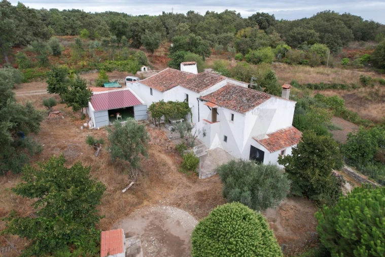 Quinta T6 para Venda em Ribeira de Nisa e Carreiras Foto 2