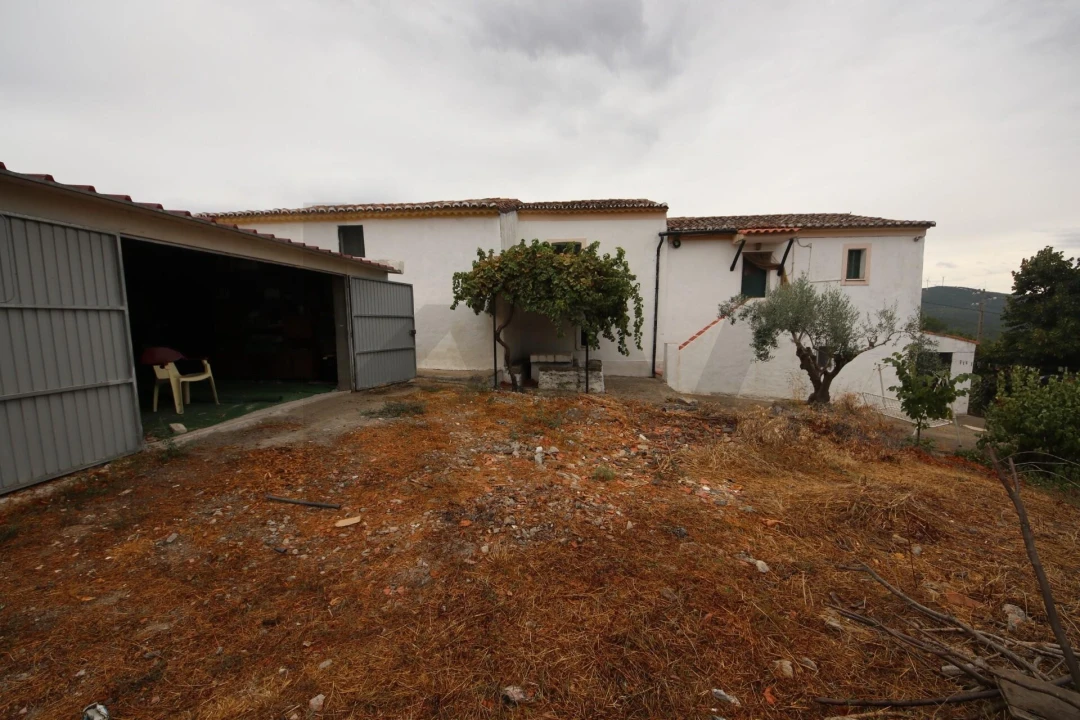 Quinta T6 para Venda em Ribeira de Nisa e Carreiras Foto 20