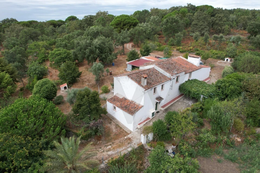 Quinta T6 para Venda em Ribeira de Nisa e Carreiras Foto 1