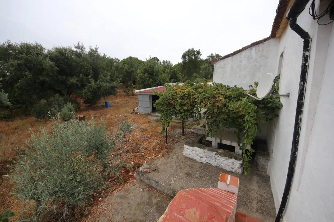 Quinta T6 para Venda em Ribeira de Nisa e Carreiras Foto 19