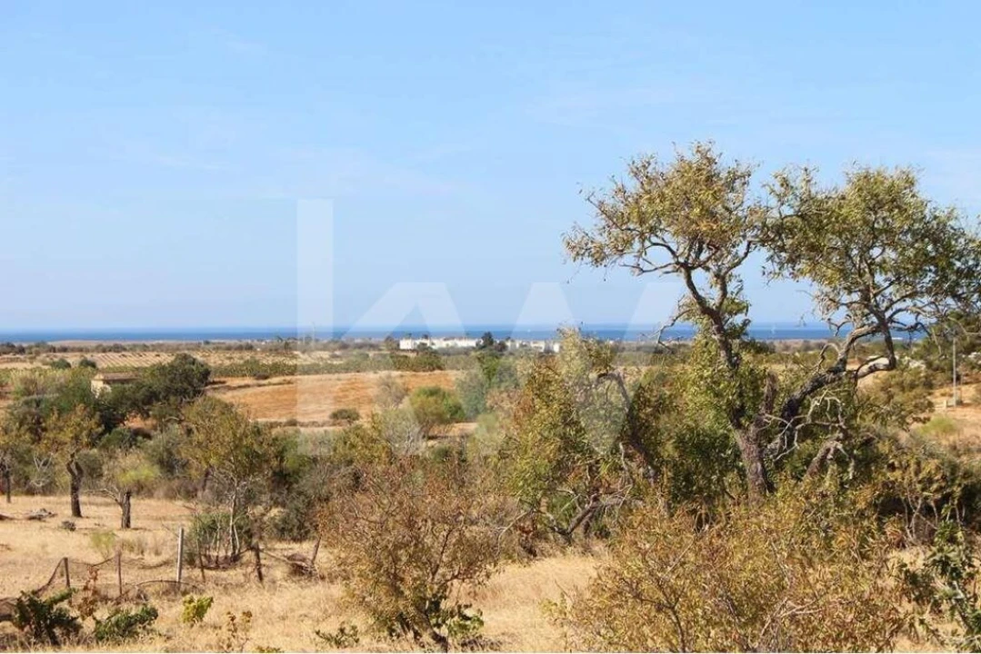 Terreno para Venda em Alcantarilha e Pêra Foto 2