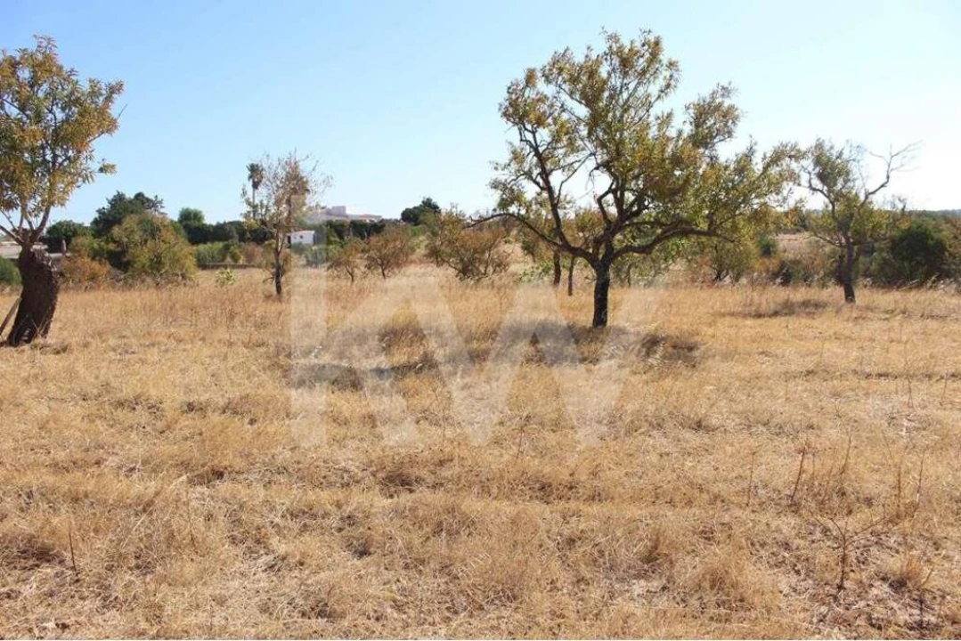 Terreno para Venda em Alcantarilha e Pêra Foto 9