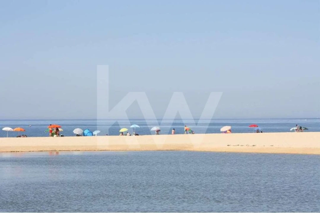 Terreno para Venda em Alcantarilha e Pêra Foto 24